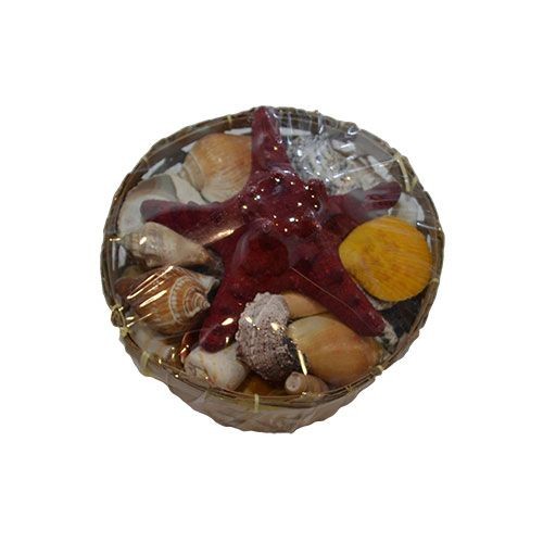 Набор ракушек 6" EGG Набор ракушек 6" EGG