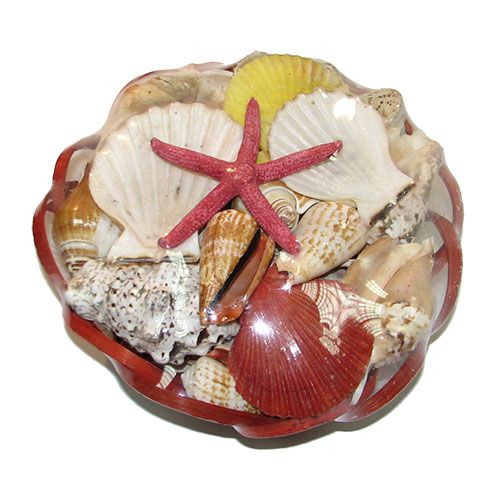 Набор ракушек 8" SCALLOP FINGER