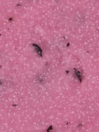 Скраб для тела соляной Роза в молоке 1кг Скраб для тела соляной Роза в молоке 1кг