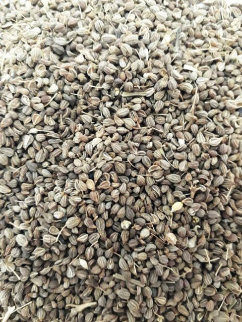 Анис семя 100гр