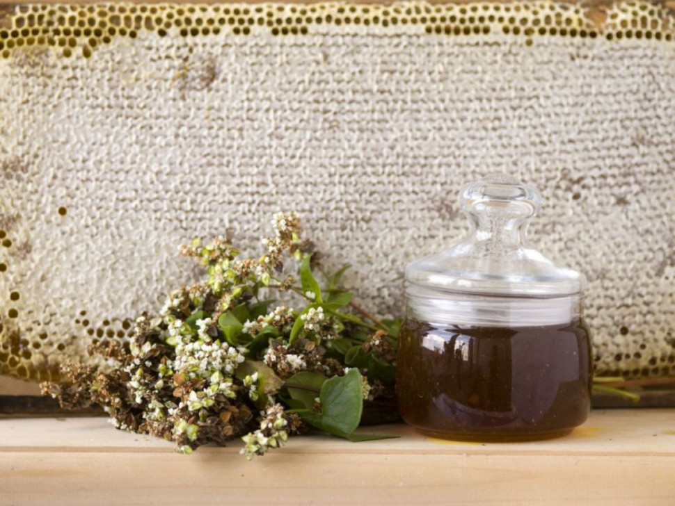 Мед гречишный 500гр