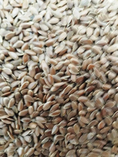 Лен семя 1кг