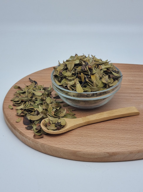 Толокнянка 1кг Толокнянка 1кг