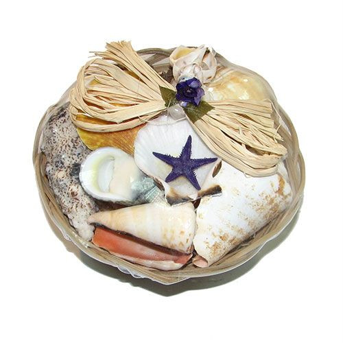 Набор ракушек 4" RAFFIA фиолетовый Набор ракушек 4" RAFFIA фиолетовый