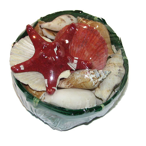 Набор ракушек 4" EGG Набор ракушек 4" EGG