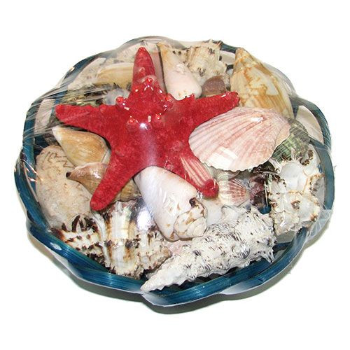 Набор ракушек 8" SCALLOP