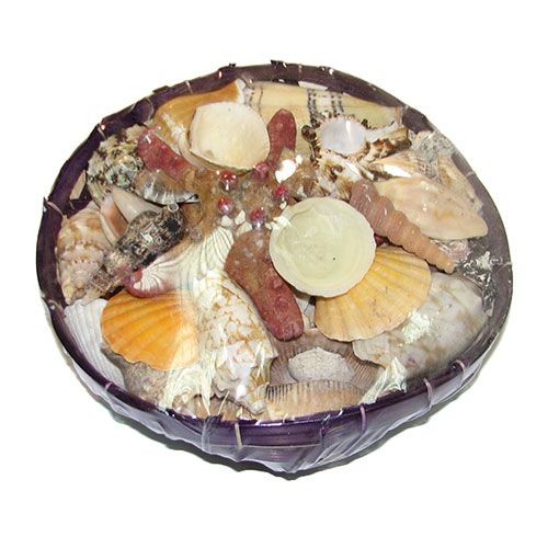 Набор ракушек 8" EGG Набор ракушек 8" EGG