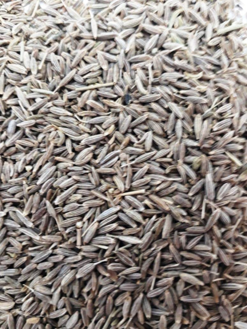 Кумин Зира семя 1кг Кумин Зира семя 1кг
