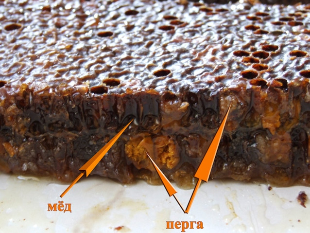 Мед микс с пергой 1кг