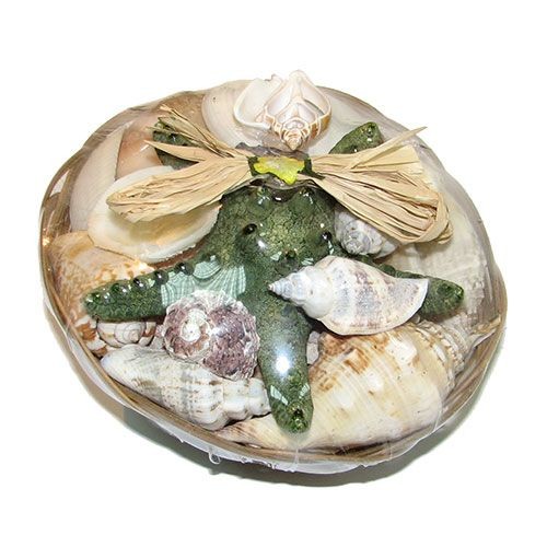 Набор ракушек 6" RAFFIA зеленый