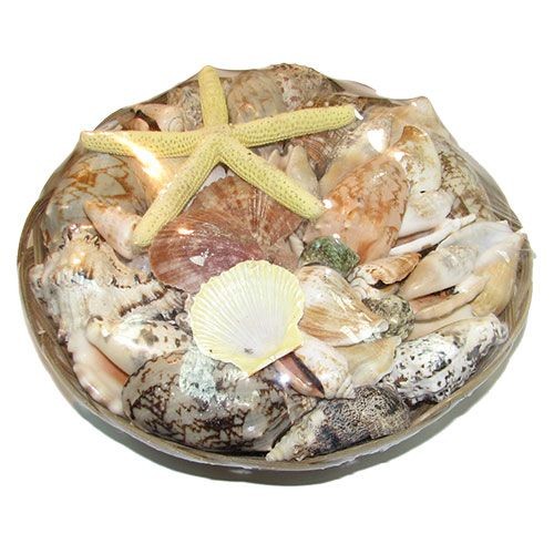 Набор ракушек 10" FINGER Набор ракушек 10" FINGER