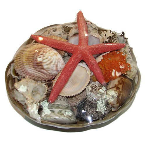 Набор ракушек 8" FINGER