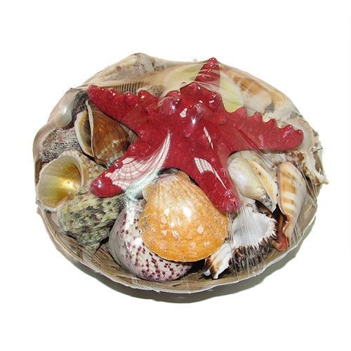 Набор ракушек 6" Набор ракушек 6"