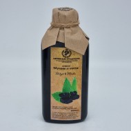 Сироп "Мумие и мята" 200мл пэт