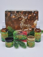 Набор 15 косметика для нежного ухода с новым годом Набор 15 косметика для нежного ухода с новым годом