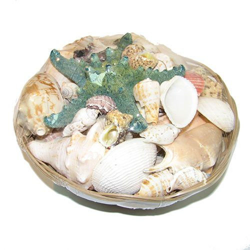 Набор ракушек 8" RAFFIA зеленый Набор ракушек 8" RAFFIA зеленый