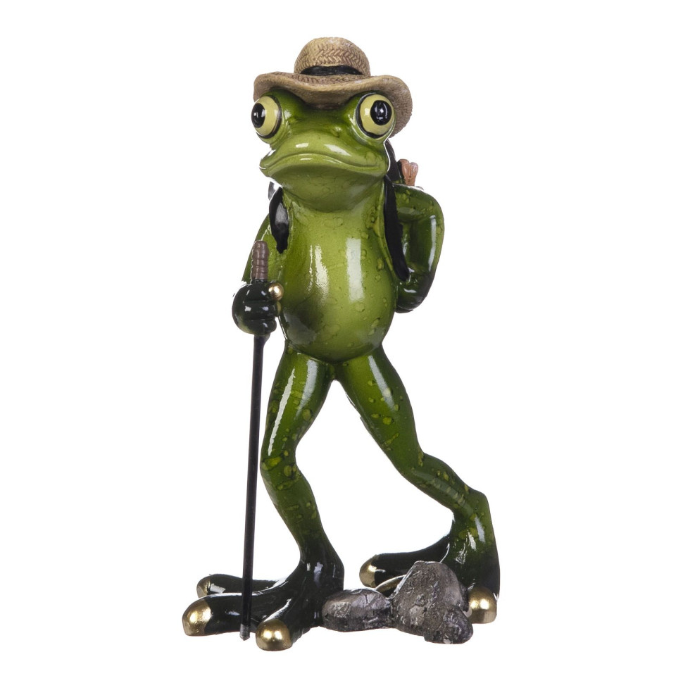 Лягушка альпинист