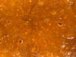 Конфитюр "Абрикос" 300гр Конфитюр "Абрикос" 300гр