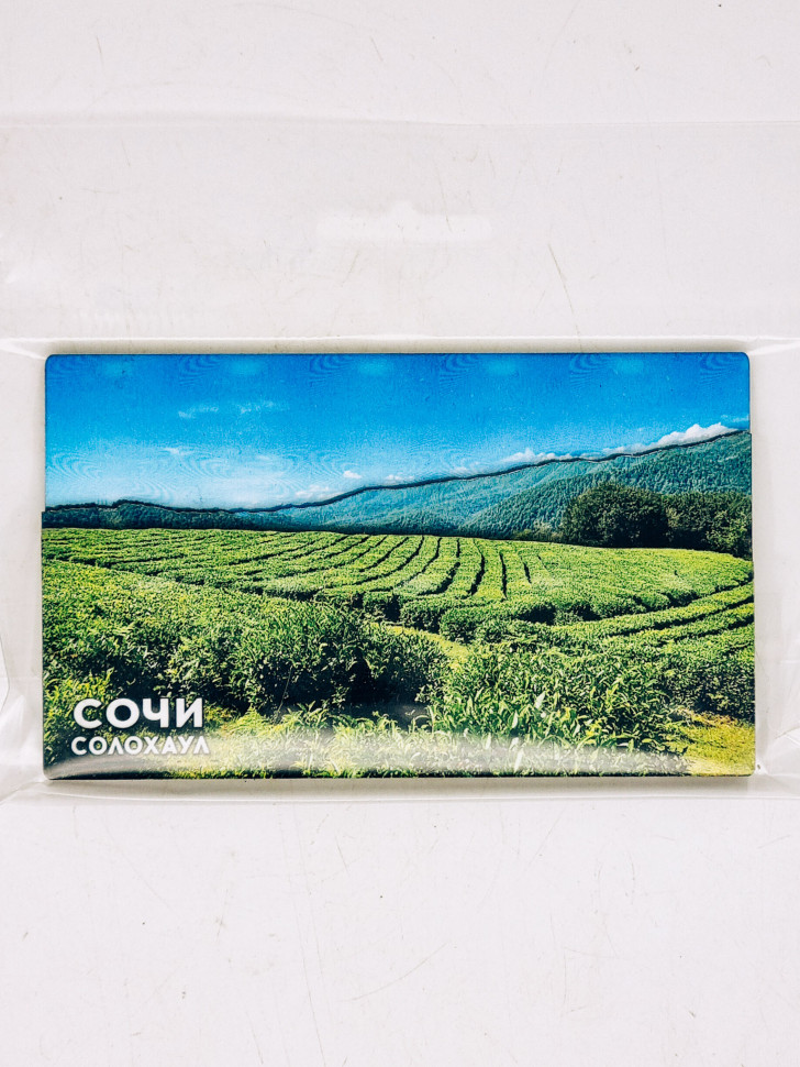Магнит 3Д "Чайные плантации" Сочи Солохаул