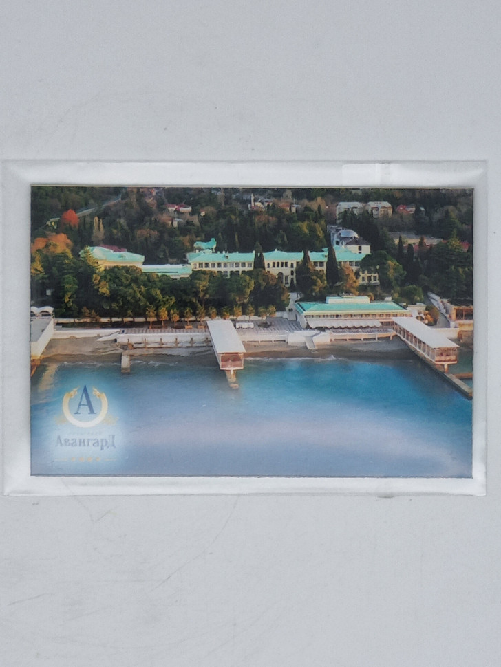 Магнит винил Авангард