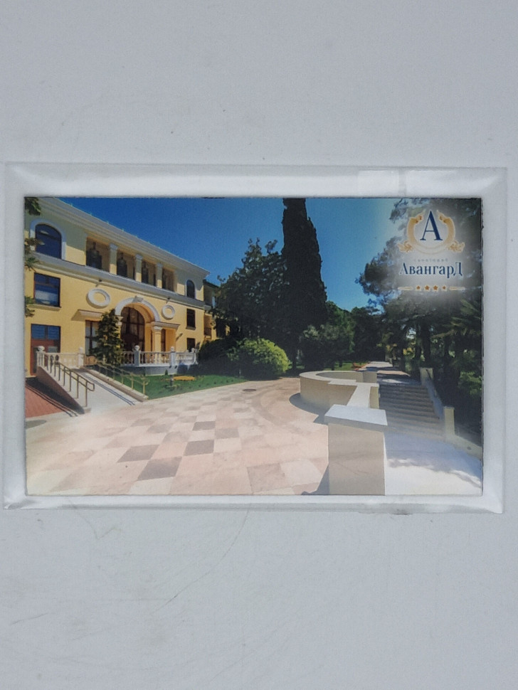 Магнит винил Авангард