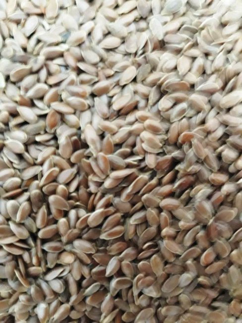 Лен семя 500гр Лен семя 500гр