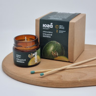 Ароматическая свеча из соевого воска Сладкая фейхоа ЮГ 70гр