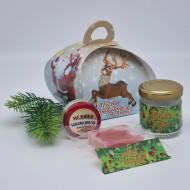 Набор 109 с Новым годом