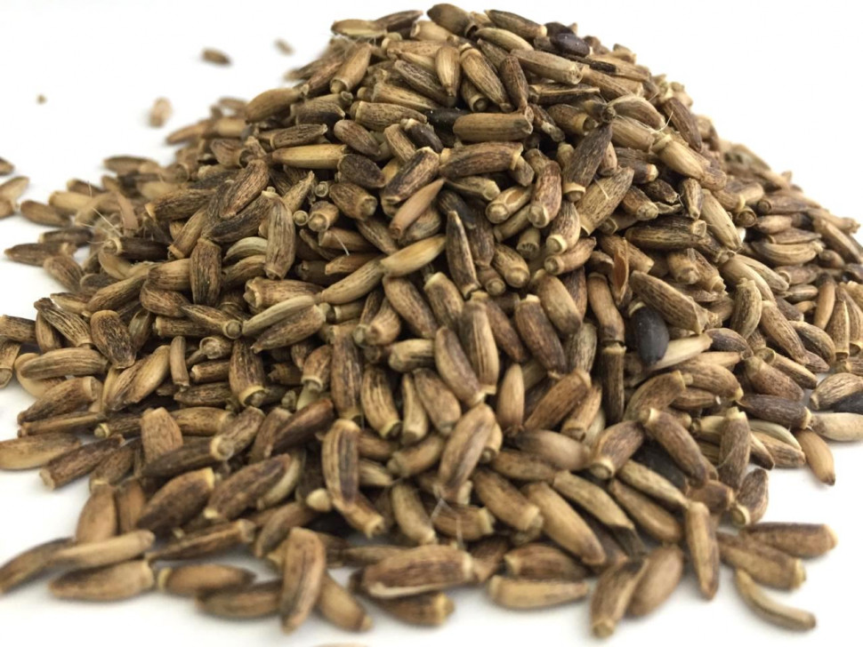 Расторопша семя 1кг